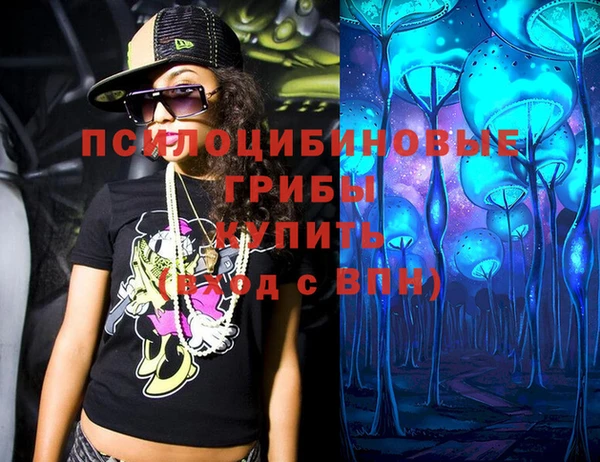 ГАЛЛЮЦИНОГЕННЫЕ ГРИБЫ Алзамай