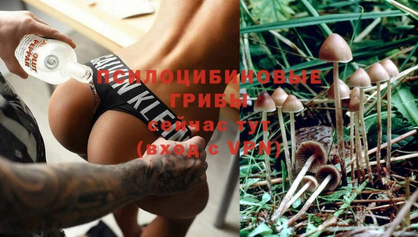 альфа пвп Абаза
