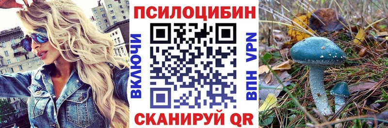 где купить наркоту МЕГА ССЫЛКА Псилоцибиновые грибы Psilocybe Урюпинск
